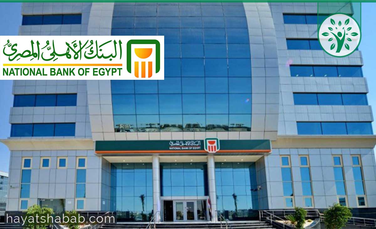 وظائف البنك الاهلي المصري 2020 لحديثي التخرج حياة شباب
