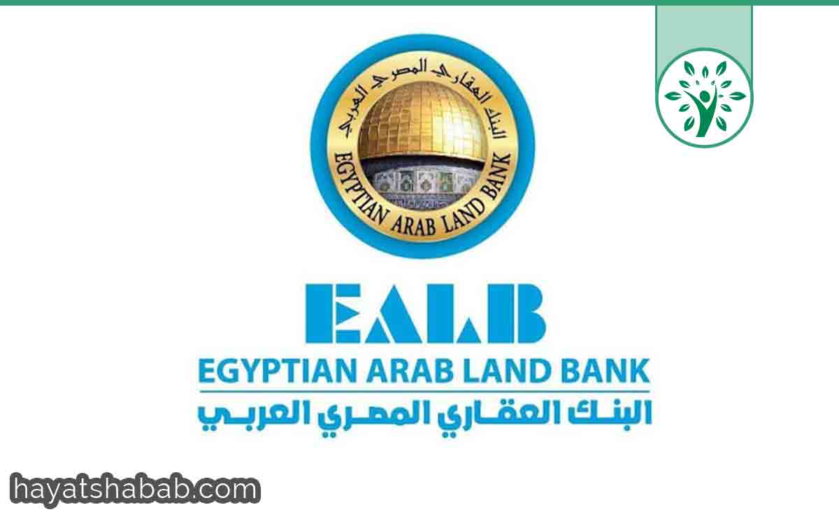 التدريب الصيفي في البنك العقاري المصري العربي