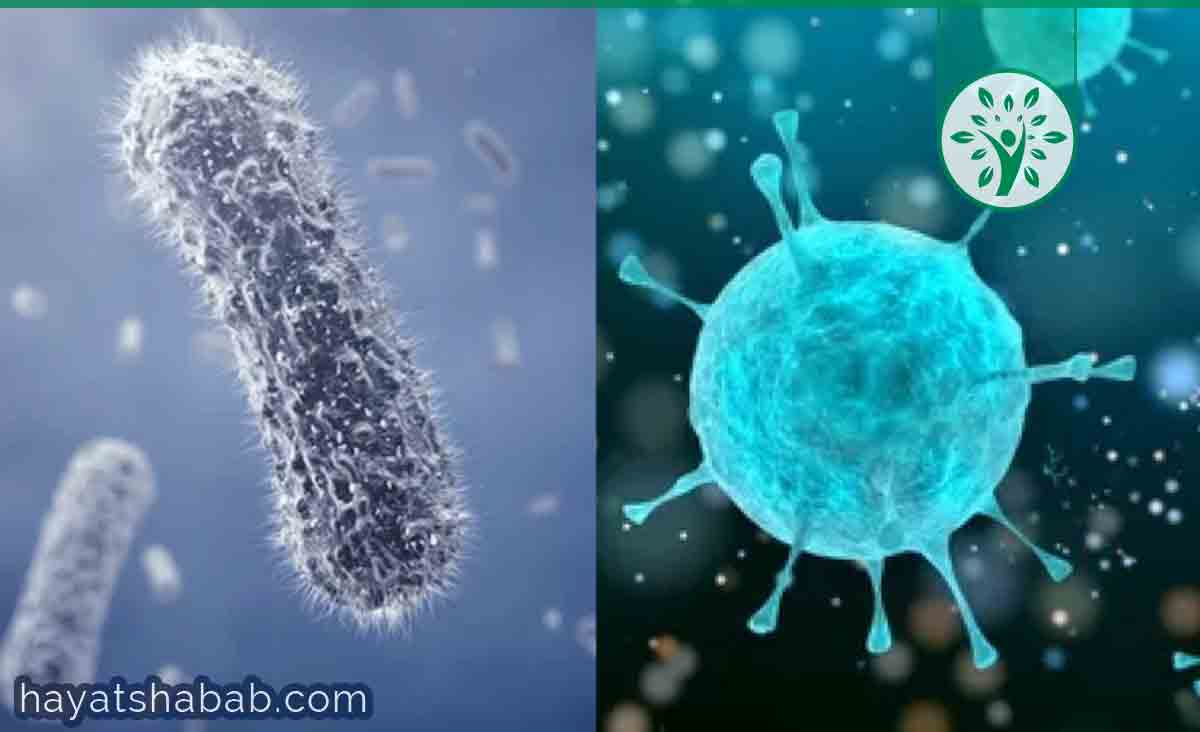 العدوى الفيروسية والعدوى البكتيرية وطرق علاجهم